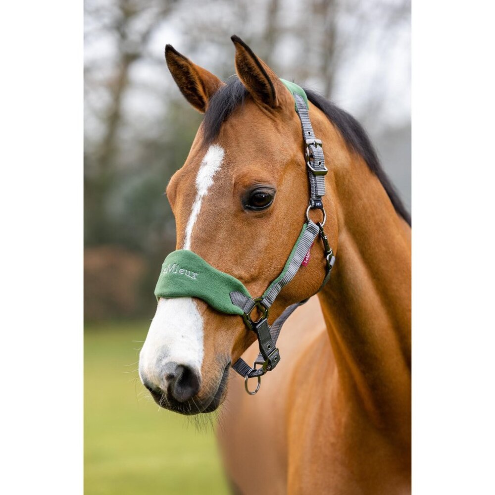 New LeMieux Vogue Halter & Leadrope Hunter Green - Cob